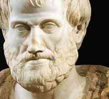 Biografia lui Aristotel: pe scurt despre filozoful antic grec
