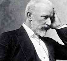Biografia lui Ceaikovski P. I. Interesante fapte din viață
