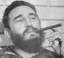 Biografia lui Fidel Castro. Calea liderului cubanez