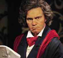 Biografie și fapte interesante din viața lui Beethoven și a operei sale