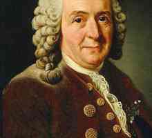 Biografie a lui Carl Linnaeus. Contribuția lui Karl Linnaeus la știință