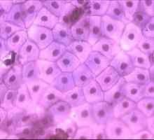 Biologie: țesutul este un grup de celule care sunt similare în structură și funcție