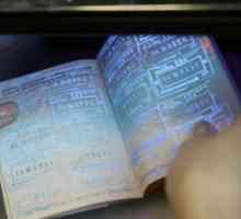 Pașapoarte biometrice - ce este? Cum să obțineți un pașaport biometric