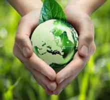 Pachet biodegradabil - producție în beneficiul naturii