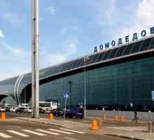 Business-lounge Domodedovo. Salile VIP ale aeroportului Domodedovo. Pasagerii claselor de afaceri