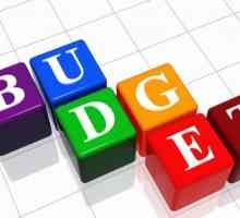 Clasificarea bugetară a cheltuielilor