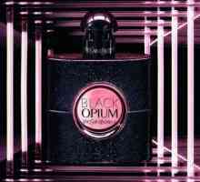 Black Opium ("Black Opium") - parfum pentru femei de la Yves Saint Laurent. Descriere,…