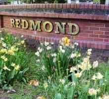Blender `Redmond`: comentarii. Specificatii, preturi, fotografii