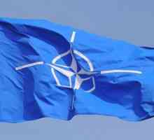 Blocul NATO. Membrii NATO. Arme NATO