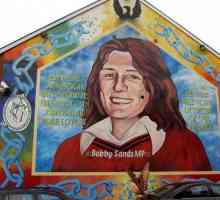 Bobby Sands, instigator al grevei foamei irlandeze din 1981: biografie
