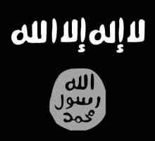 Militanții statului islamic. Organizația teroristă islamistă