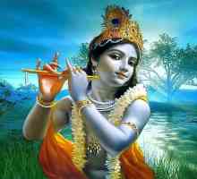 Domnul Krishna. Ce culoare este folosită pentru a reprezenta pe Dumnezeu Krishna?