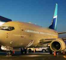 Boeing 737 500 este un ficat ceresc lung
