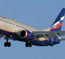 Boeing 737-800 de la Aeroflot: aspectul cabinei, locurile cele mai bune și cele mai proaste