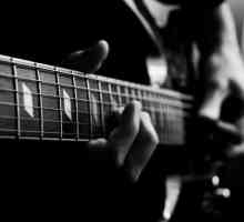 Lupta chitara pentru incepatori: greu de predat - usor de interpretat