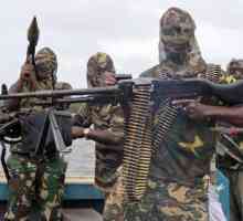 Boko Haram este o organizație islamistă nigeriană radicală. Arderea în masă a copiilor de către…