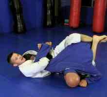 Recepția dureroasă a lui Kimura și un pic de judo