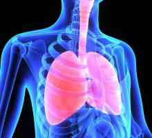 Boli ale sistemului respirator și prevenirea acestora