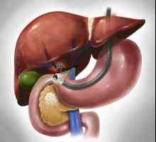 Boli ale ficatului și ale pancreasului: simptome, tratament