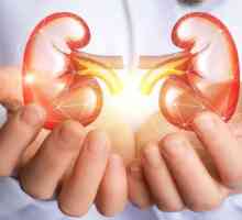 Boli de rinichi: Simptome, tratament și consecințe