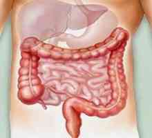 Durerea din intestinul abdomenului inferior: simptome și cauze. Dieta pentru durere în intestin