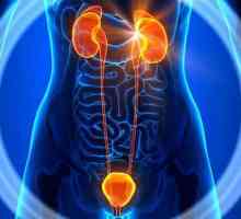 Durerea vezicii urinare la bărbați: o descriere, cauze și caracteristici ale tratamentului