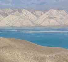 Marea Marea Arală: cauzele morții, istoria, fotografia