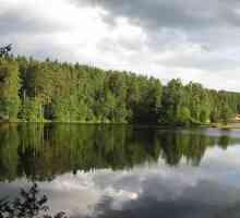 Lacul Mare Simaginskoye este un loc pentru odihnă și pescuit