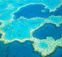 Great Barrier Reef, Australia: istorie, descriere și fapte interesante