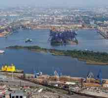 `Marele port din Sankt Petersburg`: diagrama, fotografia