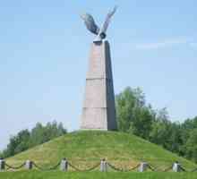 `Borodino Field` - rezervația Muzeului de Istorie Militară de Stat Borodino