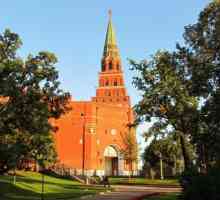 Turnul Borovitskaya al Kremlinului Moscova: istorie. Cum să ajungi la turn?