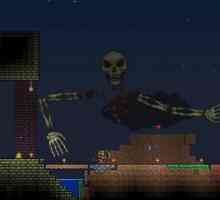 Boss Skeleton în `Terraria`