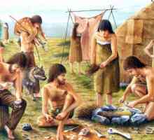 Cultură Botay este cultura arheologică a eneoliticului. Domesticirea unui cal