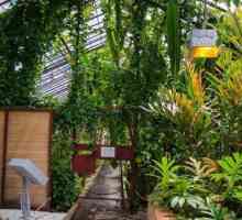 Grădina Botanică, Irkutsk: grădina și o grădină zoologică de contact