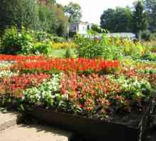 Grădina botanică Kirov - un loc mai bun pentru singurătate cu natura