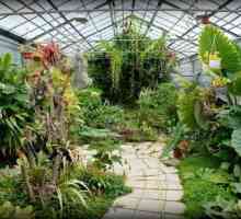 Grădina Botanică, Volgograd: adrese. Arboretum din Volgograd