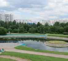 Bratislava Park: descriere și fotografie