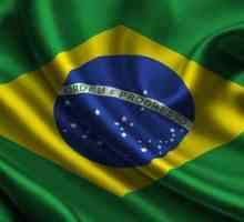 Steagul brazilian: descriere generală, simbolism și istoric al apariției