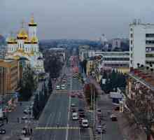 Bryansk: populație, ocuparea forței de muncă