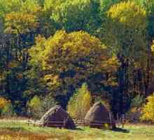 Pădurea Bryansk este o rezervație a biosferei sub auspiciile UNESCO