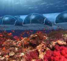 Va exista un hotel subacvatic, de cinci stele, Poseidon Undersea Resort din Fiji?