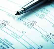 Raportarea contabilă (financiară) a întreprinderilor mici. Raportul contabil anual al IP