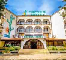 Cactus Hotel 2* (Кипр, Ларнака): описание, сервис, отзывы