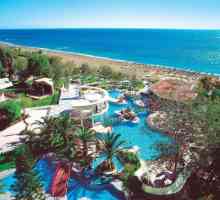 Calypso Beach Hotel 4 * (Grecia, Faliraki): descriere a camerelor, servicii, comentarii