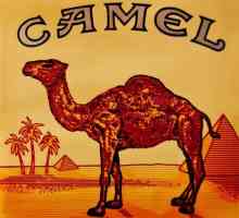 CAMEL - țigări cu multă istorie