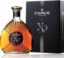 Camus (cognac): descriere și recenzii