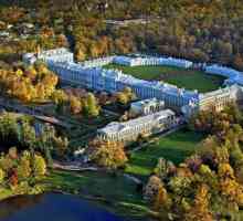 "Tsarskoe Selo" - o rezervație muzeală, care permite să se scufunde în epoca…