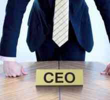CEO (poziție): transcriere. Chief Executive Officer: traducere
