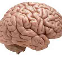Arahnoidita cerebrală a creierului: simptome, tratament, consecințe